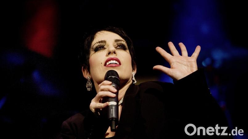 Hits aus der Welt des Musicals sind auf Maffei live zu erleben. Archivbild: Musicals in Concert/exb