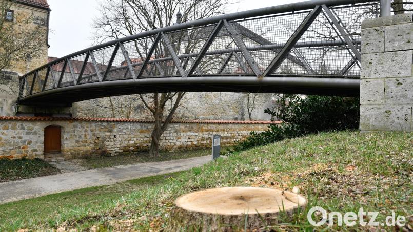 17,64 Meter misst der stählerne Basteisteg in Amberg. Rund 30 Jahre nach seiner Errichtung muss er schon wieder umfangreich saniert werden. Bild: Petra Hartl