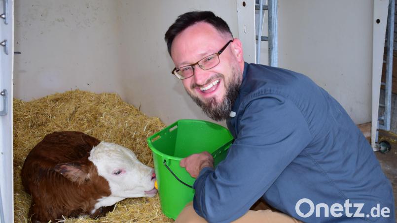 Sichtlich Freude hat Pfarrer Johannes Arweck dabei, dem eine Stunde zuvor geborenen Kälbchen aus einem Nuckeleimer seine erste Milch zu geben. Bild: no
