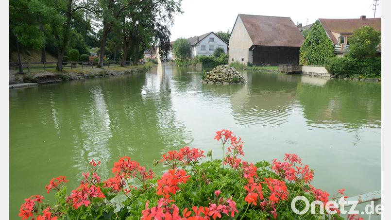Der Stadtweiher unterhalb des Kreuzberges ist eine wunderschöne Anlage und kommt besonderes bei den Touristen gut an. Die Wasserqualität aber macht der Stadt und somit auch dem Stadtrat große Sorgen. Bild: bey