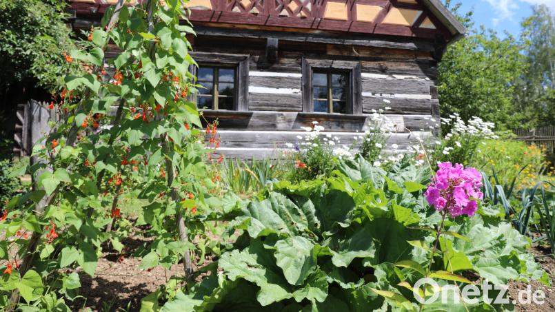 Bauerngärten zeichnen sich durch ihre Artenvielfalt aus. Bild: Freilandmuseum Oberpfalz/Eva Gröninger
