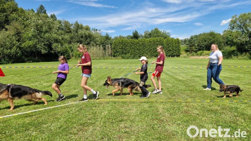 Bei der Aktion "Kind und Hund" probierten Kinder und Jugendliche aus, wie es ist, einen Hund vorzustellen. Bild: Marina Pierchalla/exb