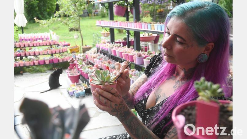 Eva Dollhopf zupft mit einer Pinzette jedes einzelne vertrocknete Blatt der Sukkulente aus. Bild: Gabi Schönberger