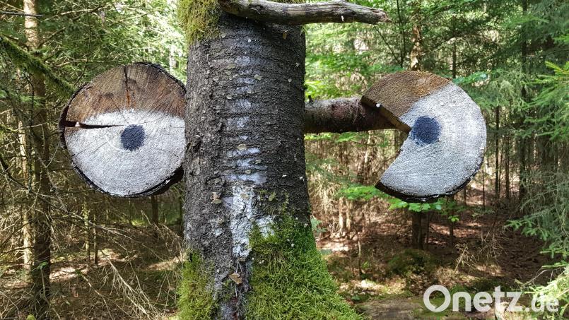 Auch ein Baumstumpf eignet sich als Gespenst. Bild: Benkhardt