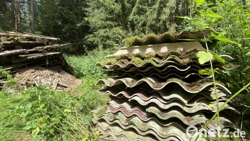 Sondermüll, von Pflanzen überwuchert, im Wald: Mehr als 40 Eternitplatten hat der Grundstücksbesitzer hier gelagert. Bild: upl