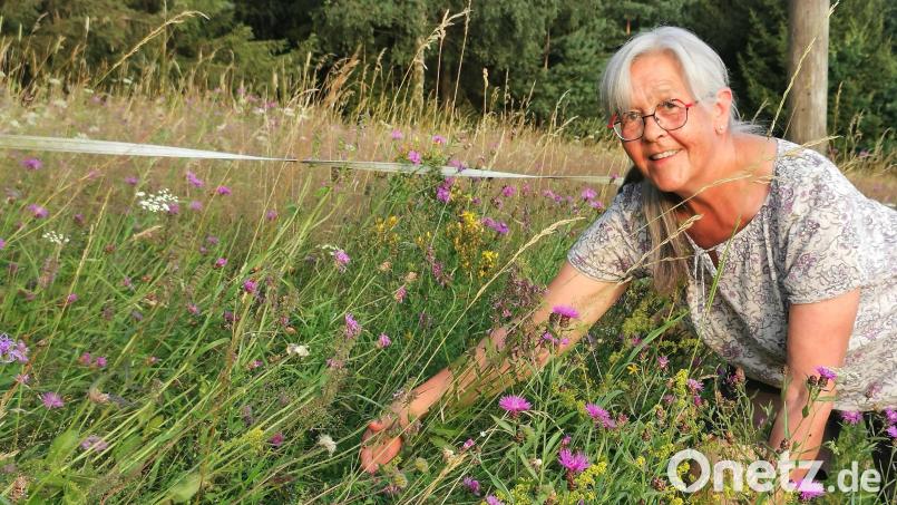 Der Traum für eine Kräuterfachfrau: Monika Ermer freut sich über die blühenden Wildkräuter am Wegesrand bei Winklarn. Bild: Portner