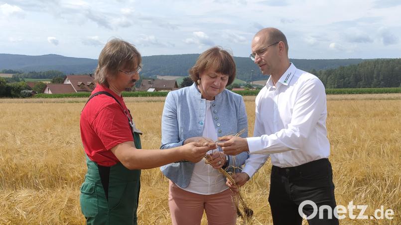 Landwirt Herbert Giedl (links) erklärt Bezirksbäuerin Rita Götz und Ely Eibisch, Vizepräsident des Bayerischen Bauernverbandes, wie es um seine Braugerste steht. Bild: ald
