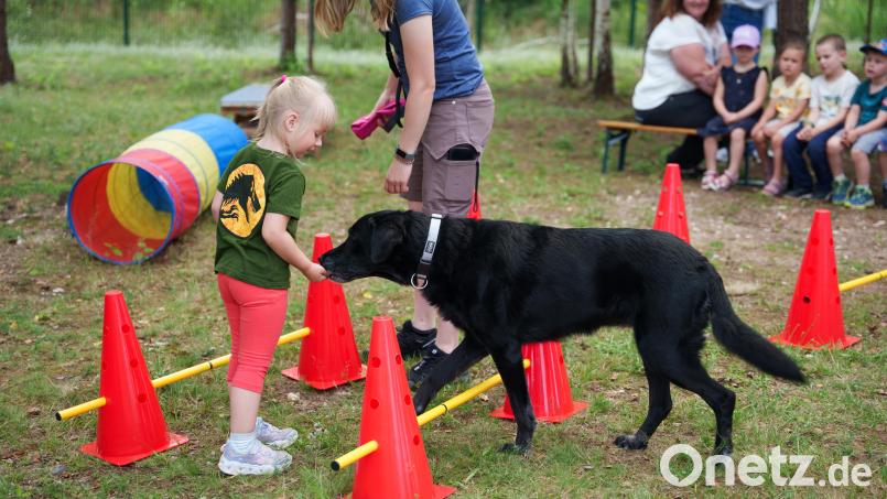 Im Geschicklichkeits-Parcours sollen die Kinder Therapiehündin &quot;Lilli&quot; über die Hindernisse führen. Bild: Jakob Graf