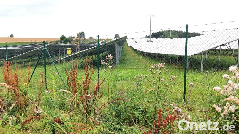 Fünf Projektanten stellen dem Stadtrat Oberviechtach ihre Pläne für neue PV-Freiflächen-Anlagen im Stadtgebiet vor. Auch die Energiebauern GmbH möchte den Solarpark in der Hanau in Richtung Schlüsselhof (nach links) erweitern. Bild: Portner