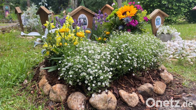 Die Gräber auf dem Tierfriedhof in Weiden sind ähnlich gepflegt wir auf einem Friedhof für Menschen, die Haustierbesitzer kümmern sich augenscheinlich sehr. Bild: Schönhofen