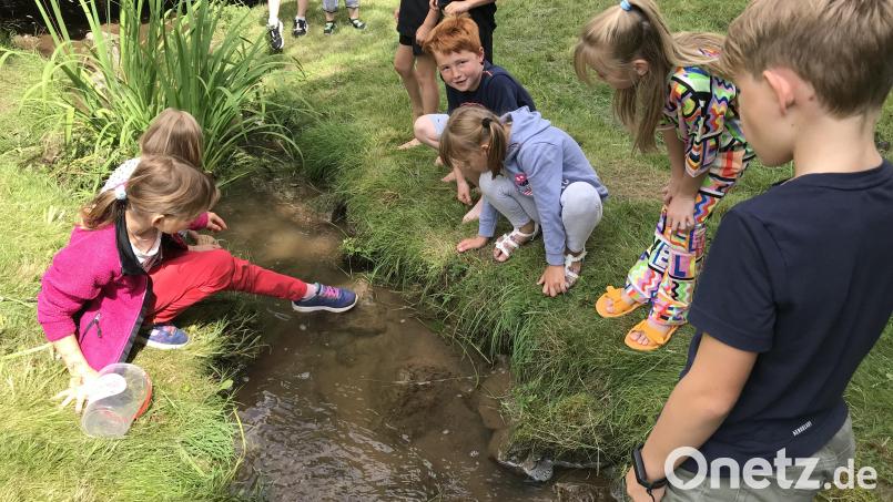Ferienzeit bedeutet auch: Freizeit. Wasser hat für Kinder magische Anziehungskraft und ist Teil im Hahnbacher Ferienprogramm. Bild: mma