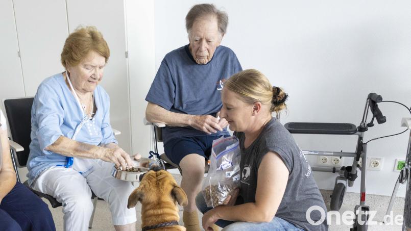 Motorische und kognitive Anregung sind zwei der großen Ziele, die durch die tierischen Co-Therapeuten im Krankenhaus St. Barbara erreicht werden sollen. Bild: Johanna Foitzik/exb