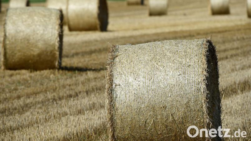 Mit dem Pressen von Heuballen tut sich ein Landwirt aus dem Landkreis Cham erstmal schwer. Seine Ballenpresse wurde geklaut. Symbolbild: Holger Hollemann/dpa