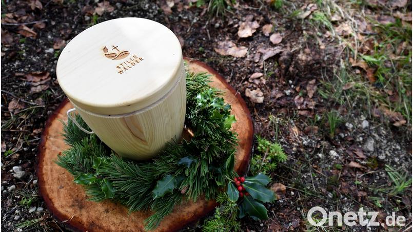 In einem Friedwald (Symbolbild) sind Urnenbestattungen unter Bäumen möglich. Symbolbild: Angelika Warmuth/dpa