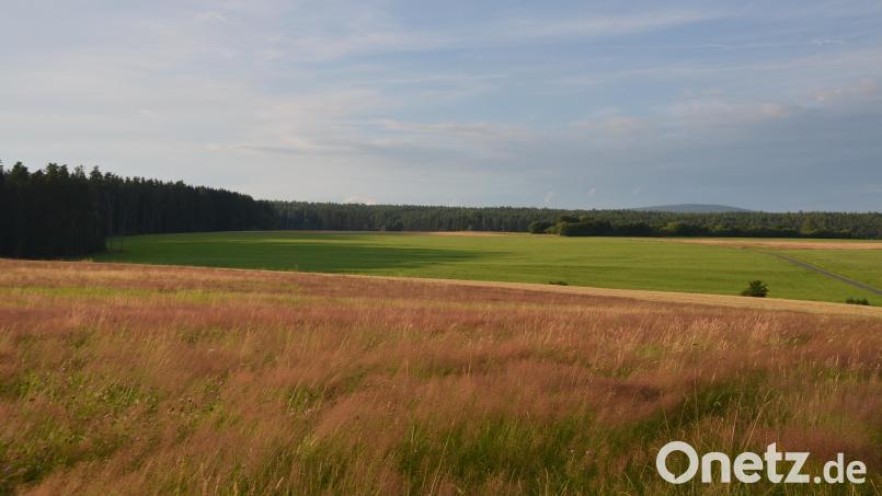 Der Planungsausschuss des Regionalen Planungsverbandes hat die Fläche des von der Gemeinde Speichersdorf gemeldeten Windenergievorranggebiets Steinkreuz (Bild) auf rund 220 Hektar reduziert. Bild: ak