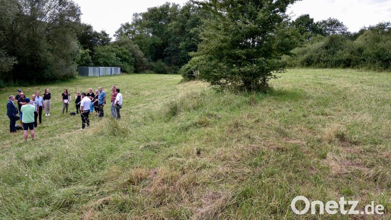 Der Amberger Umweltausschuss steht mitten im Biotop am Nordhang des Mariahilfbergs. Hier sorgen Schafe dafür, dass die Wiese nicht verfilzen kann. Bild: Stephan Huber