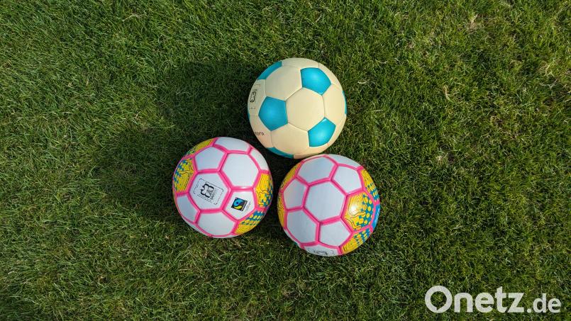 Fair hergestellte und gehandelte Spielbälle im Wert von rund 1300 Euro verteilte die Fairtrade-Steuerungsgruppe Waldsassen an Organisationen und Vereine aus dem Stadtgebiet Waldsassen. Bild: pz