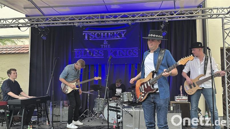Ein Blues- und Rock &#039;n&#039; Roll-Konzert der Extraklasse servierten &quot;Tscheky &amp; The Blues Kings&quot; ihrem Publikum zum Auftakt des 29. Amberger Sommerfestivals. Bild: Susanne Schwab