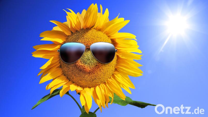 Sommer, Sonne, Freizeitspaß Bild: Thaut Images/Adobe Stock