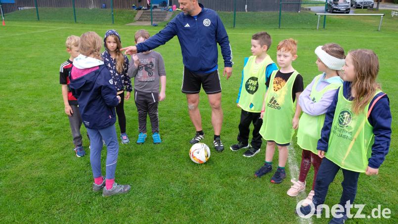 Das Sommerfest bietet für die FC-Übungsleiter um Vorsitzenden Wolfgang Seitz Gelegenheit, mit den begeisterten Buben und Mädchen dem Publikum das erlernte Einmaleins des Fußballs zu präsentieren. Bild: do