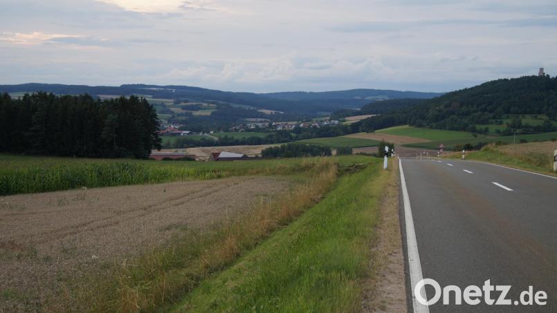 Links der Straße, die von Sallach nach Niedermurach führt, ist der Solarpark Sallach II geplant. Bild: wel