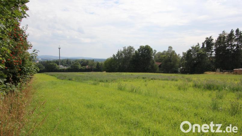 Blick aus Richtung der Sternwarte auf das neue Baugebiet. Rechts verläuft der Lindenweg. Bild: kro