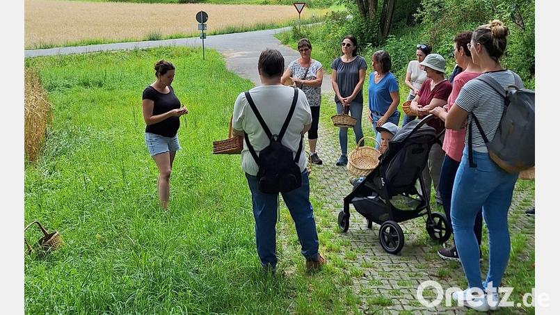 Kräuterwanderung Bild: Sandra Henselmann/exb