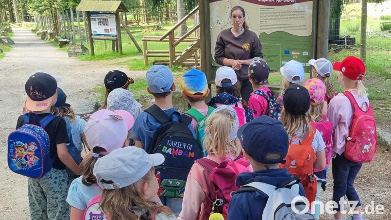 Die Kinder erkundeten den Wildpark Mehlmeisel. Bild: Tanja Ruckdäschel/exb