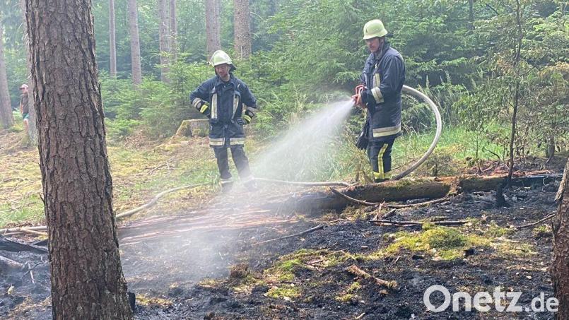 Die Wald- und Flächenbrandgefahr im Landkreis Schwandorf ist derzeit „moderat hoch“, doch dies ändert sich zur Wochenmitte. Unvergessen ist das Waldbrandszenario vor einem Jahr, da mussten die Wehren an einem einzigen Tag in acht Orten zu Bränden ausrücken. Bild: Feuerwehr/exb