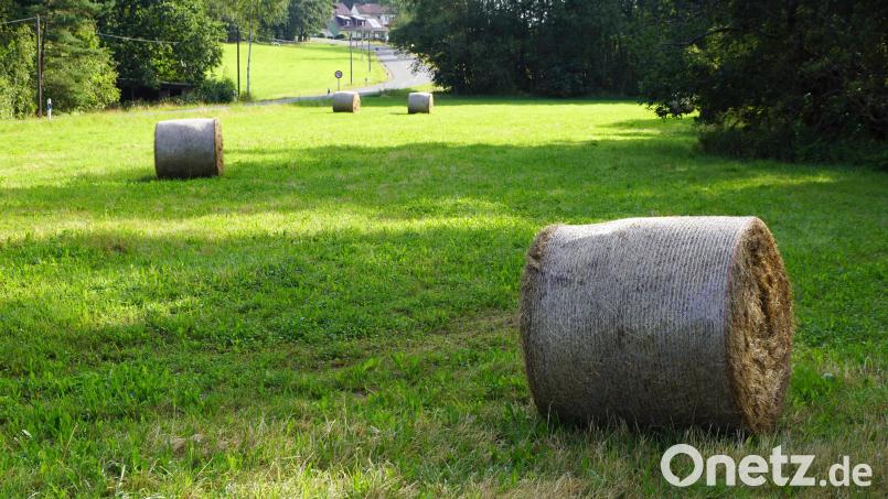 Rundballen markieren die ehemalige Deponie in der Tiefenlohe. Ihre Auswirkungen auf das Grundwasser sollen nun aufwendig über mehrere Jahre untersucht werden. Bild: bkr