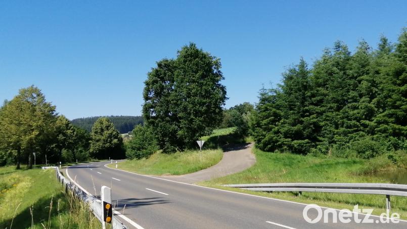 An der asphaltierten Zufahrt (Bildmitte) ist eine Agri-Solar geplant. Der Standort an der Staatsstraße wird durch die bestehende Eingrünung mit Bäumen und Gehölzen abgeschirmt. Bild: Andreas Thammer/exb
