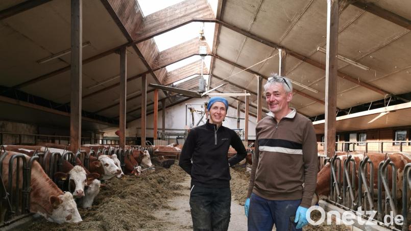 Rita und Andreas Kulzer aus Dietersdorf bei Schönsee wollen einen Teil ihrer Milch selber vermarkten: Sie sind Mitbegründer einer mobilen Käserei. Bild: Portner