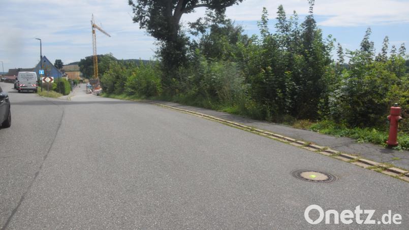 An der Abzweigung Bahnhofstraße/Sperlhammerstraße hat die Gemeinde das rechts hinten den Büschen liegende Areal erworben. Hier könnten Wohnhäuser entstehen. Bild: fz