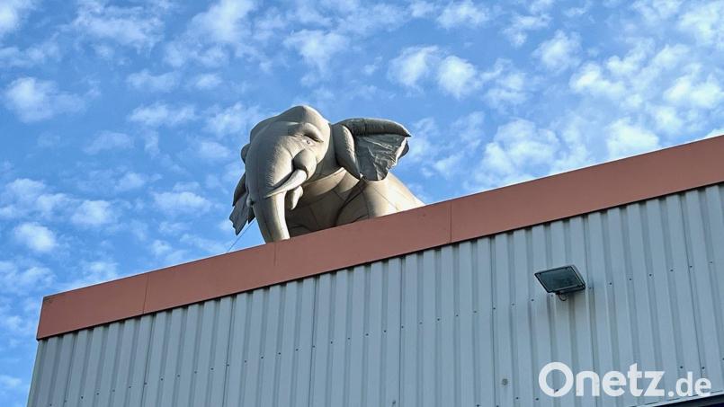 Der Knorr-Elefant ist zurück. Bild: Gabi Schönberger