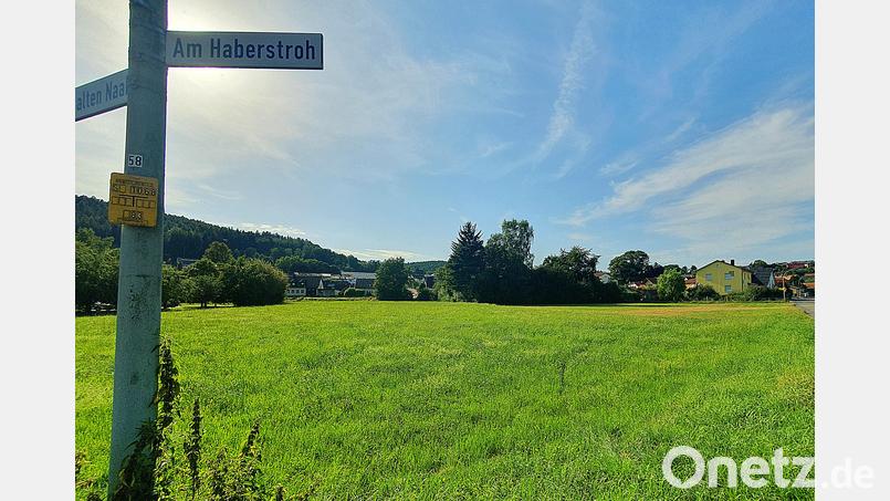 Auf dem freien Grundstück zwischen der Straße &quot;Am Haberstroh&quot; und dem Brünnlweg (Bebauung im Hintergrund) soll ein neues Wohngebiet entstehen. Das hat der Nabburger Stadtrat beschlossen. Bild: Hösamer