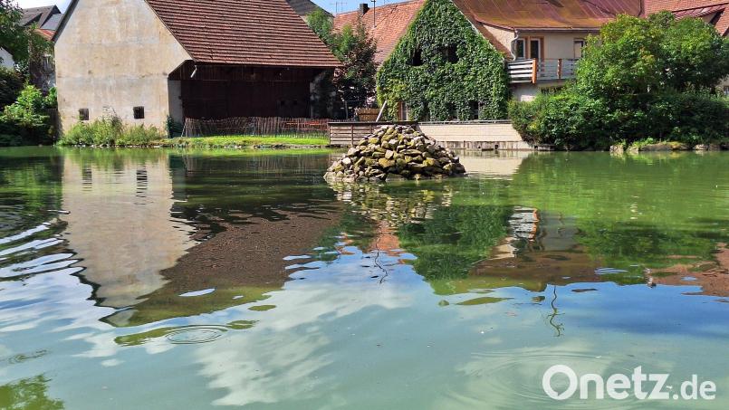 Der Springbrunnen soll mit verkürzten Pausenintervallen zur Anreicherung des Wassers im Pleysteiner Stadtweiher mit Sauerstoff beitragen. Damit will die Stadt die Gefahr eines weiteren Fischsterbens in den warmen Sommermonaten verringern. Bild: bey