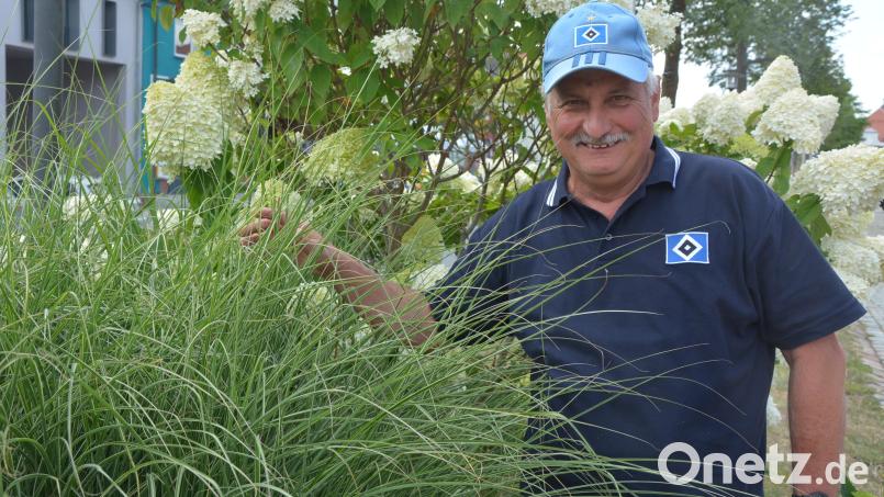 Stadtgärtner Willi Kilian freut sich über den aktuellen Blütenstand in den zahlreichen öffentlichen Grünanlagen der Stadt Mitterteich. Bild: jr