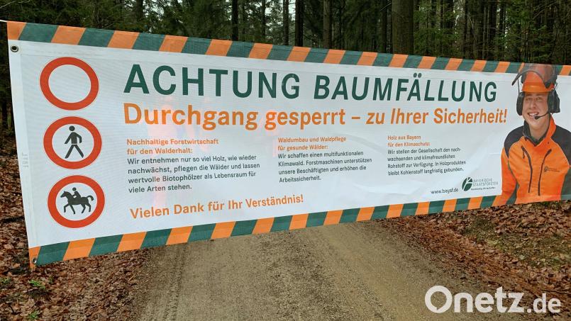 Wegen Baumfällarbeiten muss am Donnerstag der Triftweg in Amberg vorübergehend gesperrt werden. Symbolbild: ck