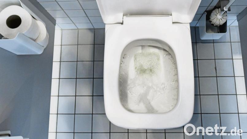 WC-Bürste, Toilettenpapier und Papierhalter: Ein WC am Arbeitsplatz muss bestimmte Mindestanforderungen erfüllen. Bild: Ralf Hirschberger/dpa