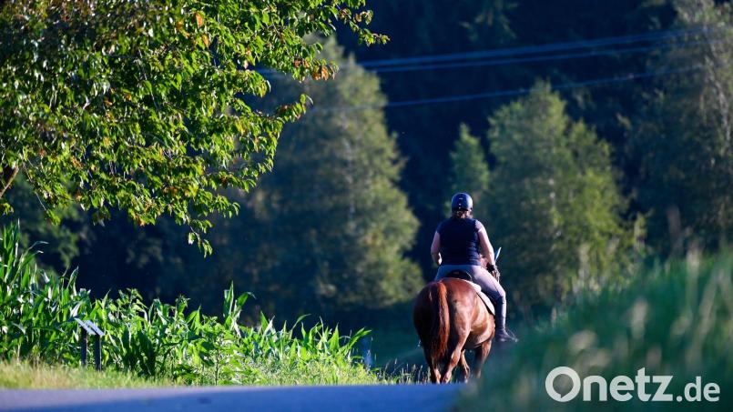 Eine Frau reitet auf ihrem Pferd durch eine hügelige Landschaft. Die Feuerwehr hat im Landkreis Rottal-Inn ein Pferd aus einem schlammigen Weiher befreit. (Symbolbild) Bild: Felix Kästle/dpa