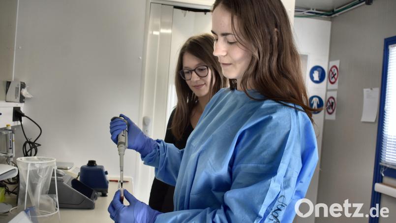 Judith Mehler (rechts) und ihre Kollegin Gina Pommerenke arbeiten für das Unternehmen Bio-Variance am Forschungsprojekt &quot;Bio-Samp&quot; mit. Archivbild: lue