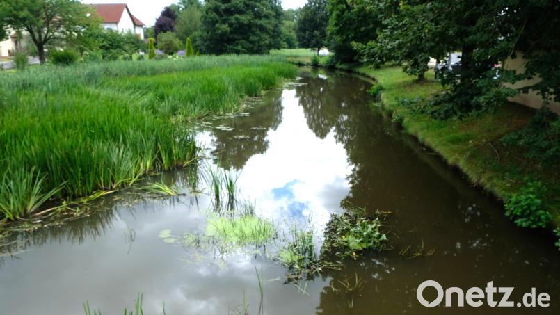 Nach einer fünfjährigen Planungsphase zum ökologischen Umbau der Creußen warten Gemeinderat und Tremmersdorfer mit zunehmender Ungeduld auf die Genehmigung und die Bauphase des Projekts. Bild: do