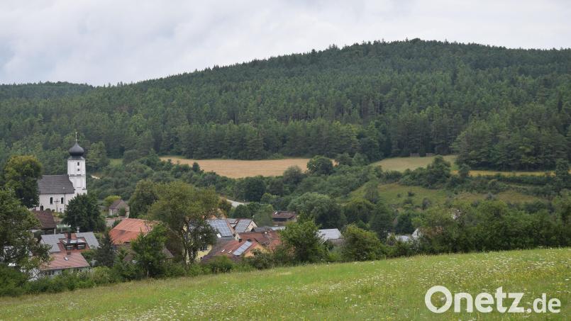 Der östlich von Ransbach gelegene Höhenrücken auf der anderen Seite des Lauterachtales soll auf Wunsch des Marktgemeinderats Hohenburg aus dem Windatlas des Regionalen Planungsverbandes Oberpfalz-Nord herausgenommen werden. Bild: bö
