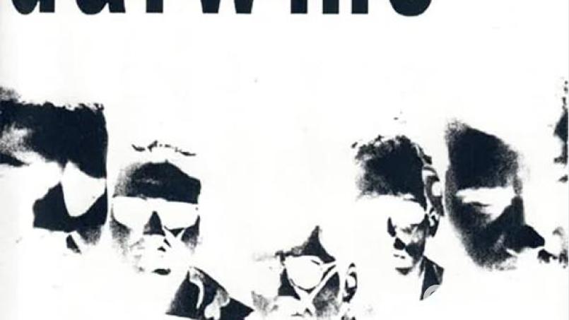 Darwins - Day For A Carcrash (Scarecrow) Bild: Scarecrow