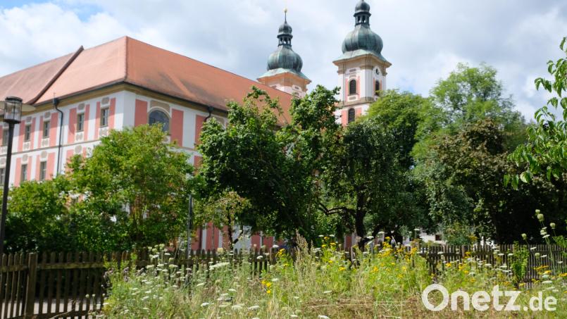 Kloster, Begegnungsstätte und Förderverein bieten in Speinshart ein abwechslungsreiches Spätsommer- und Herbstprogramm mit spektakulären Höhepunkten. Bild: do