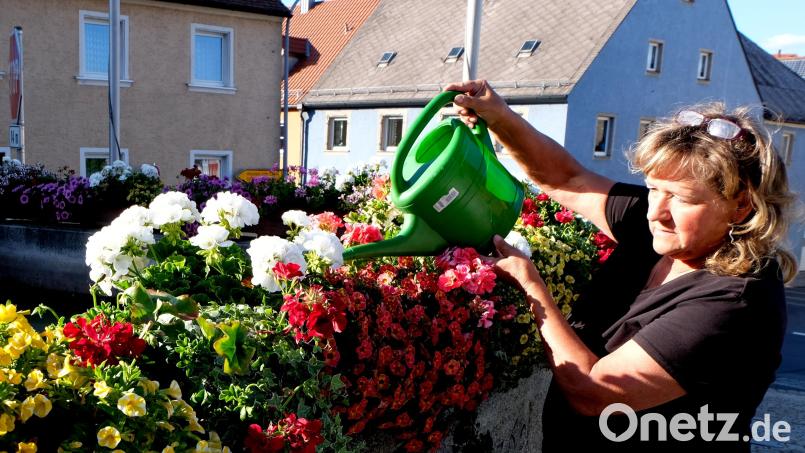 Johanna Lenkeit pflegt die öffentlichen Anlagen und Plätze des Marktes, wie hier am Röhrkasten. Bild: le