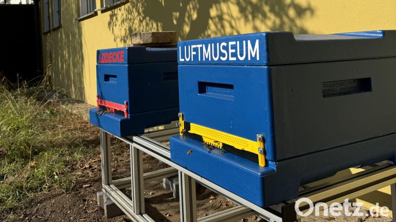 Die Bienenkästen beim Luftmuseum in Amberg. Bild: Lüdecke