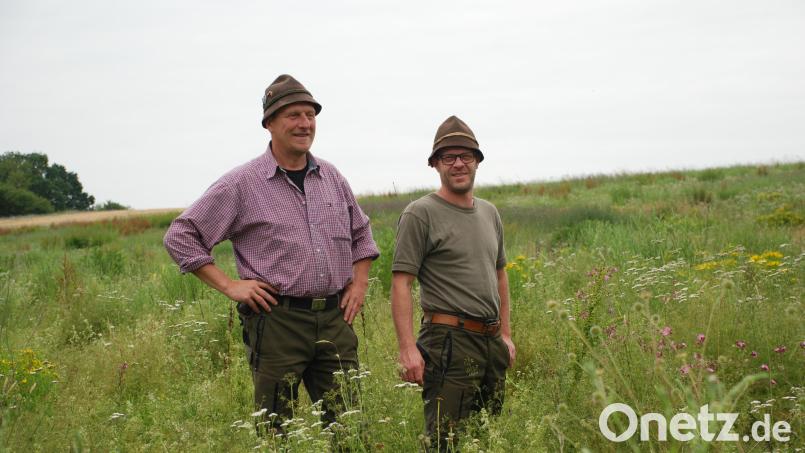 Herbert Tretter (links) und Holger Lottes: Die beiden Jäger schauen, wie sich die Pflanzen auf dem Wildacker in den letzten Monaten entwickelt haben. Bild: cvl