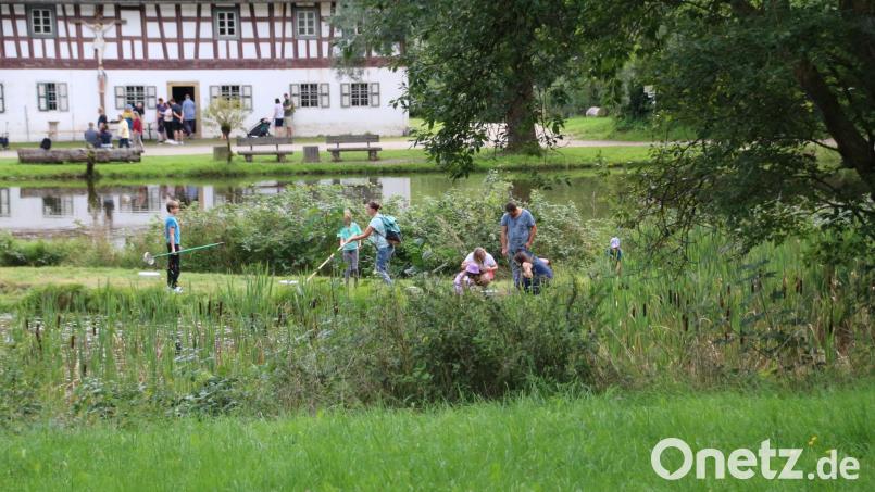 Im Freilandmuseum lässt sich überall die Natur erforschen. Archivbild: Katrin Kumschier/exb