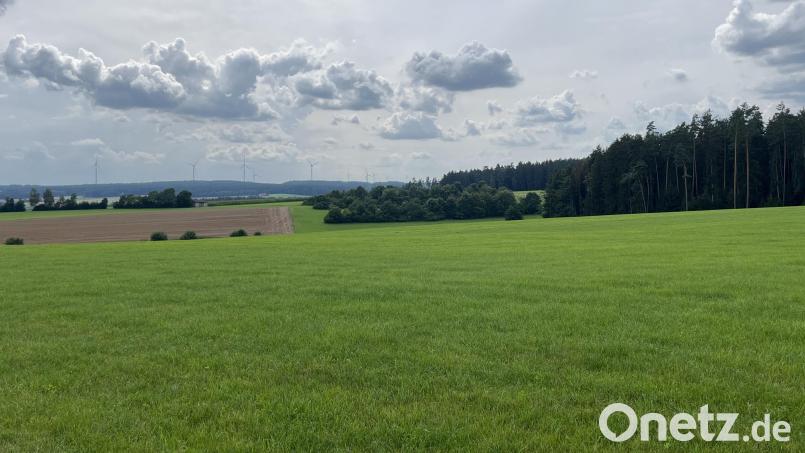 So sieht Idylle aus. Bei Zeulenreuth sollen Windräder hin. Die Anwohner hätten sie gern ein Stückchen weiter weg. Bild: Nico Hoffmann/exb